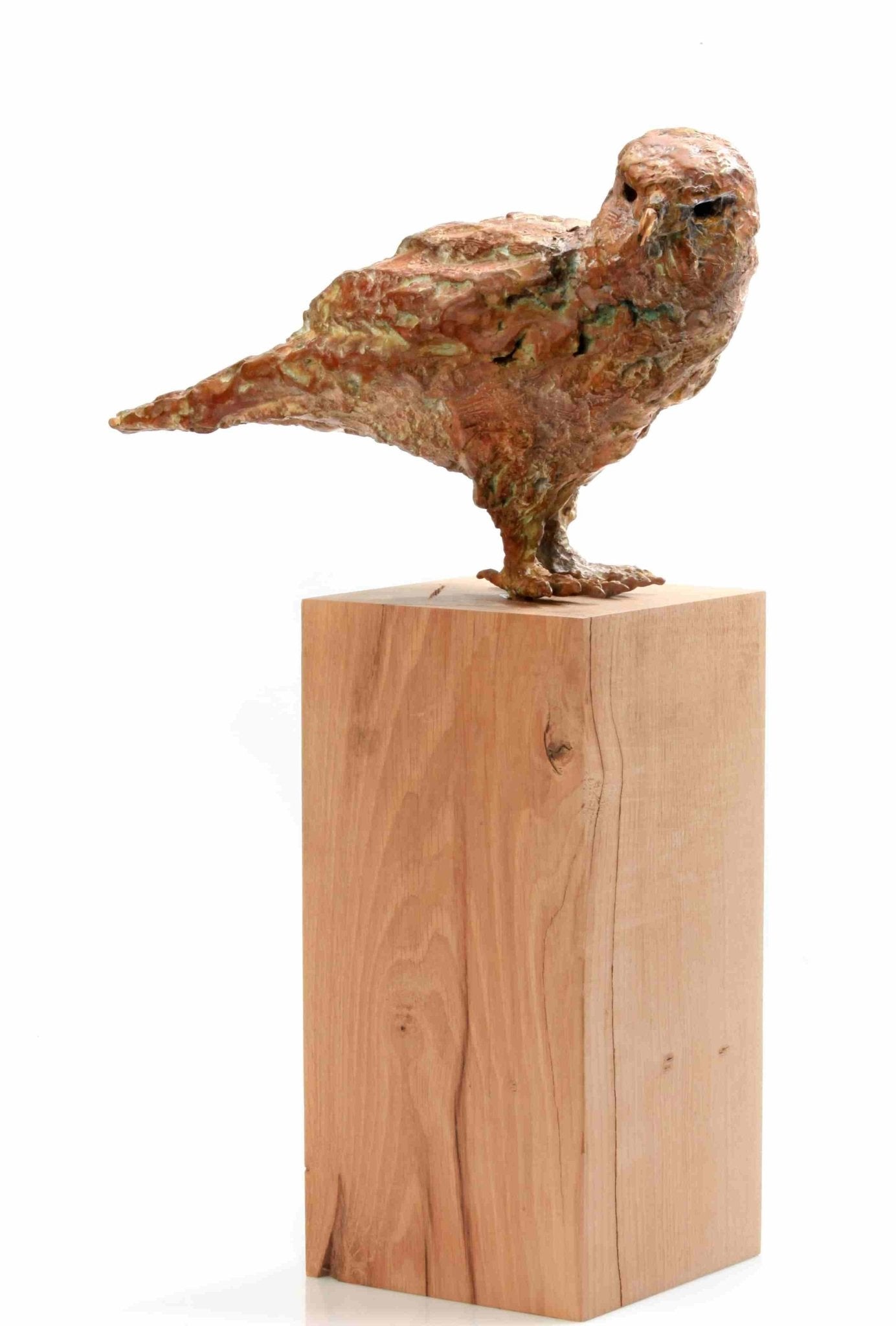 Buizerd (51 x 15 x 35cm) - ArtFusion.nl