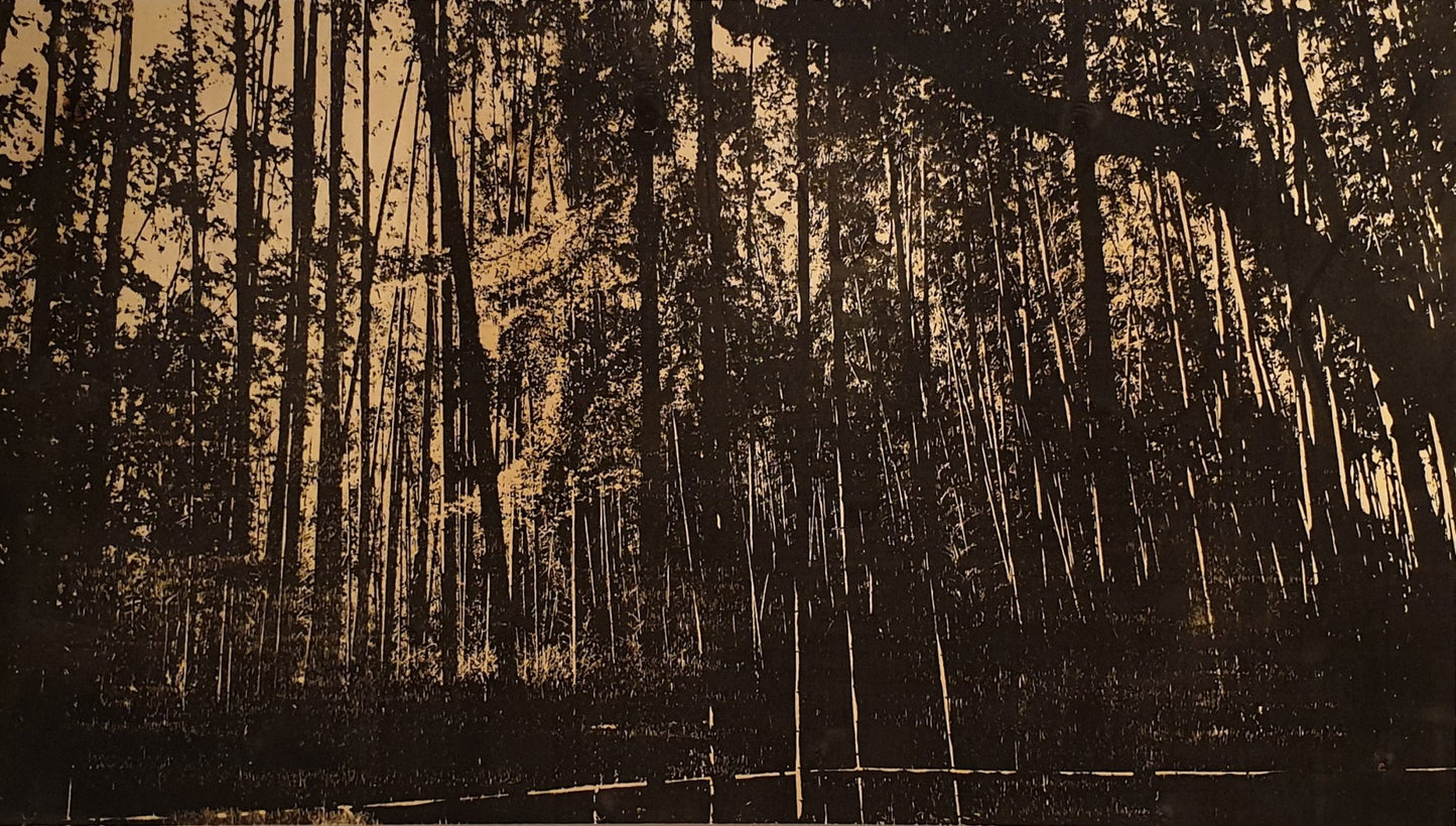 The Bamboo forest (58 x 102cm) - ArtFusion.nl
