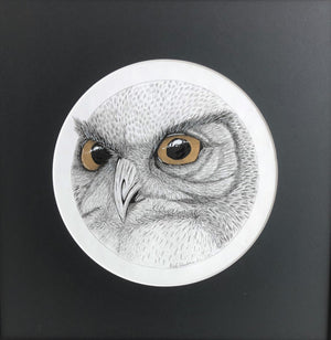Niels Wachtmeester - ArtFusion.nl