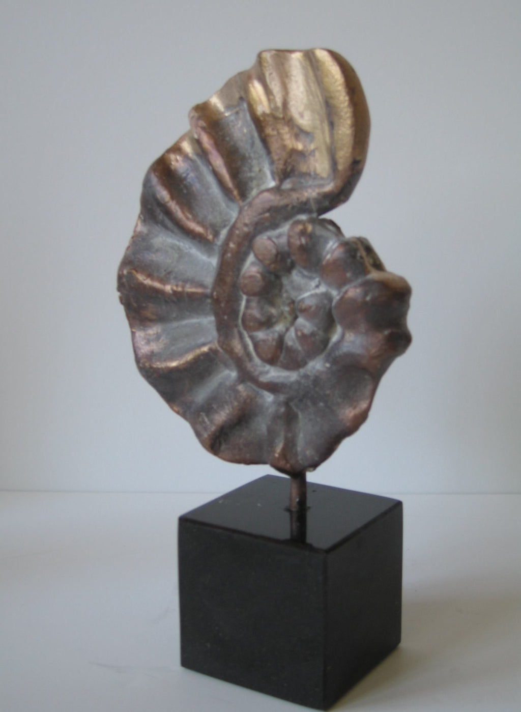 Fossiel IV - ArtFusion.nl