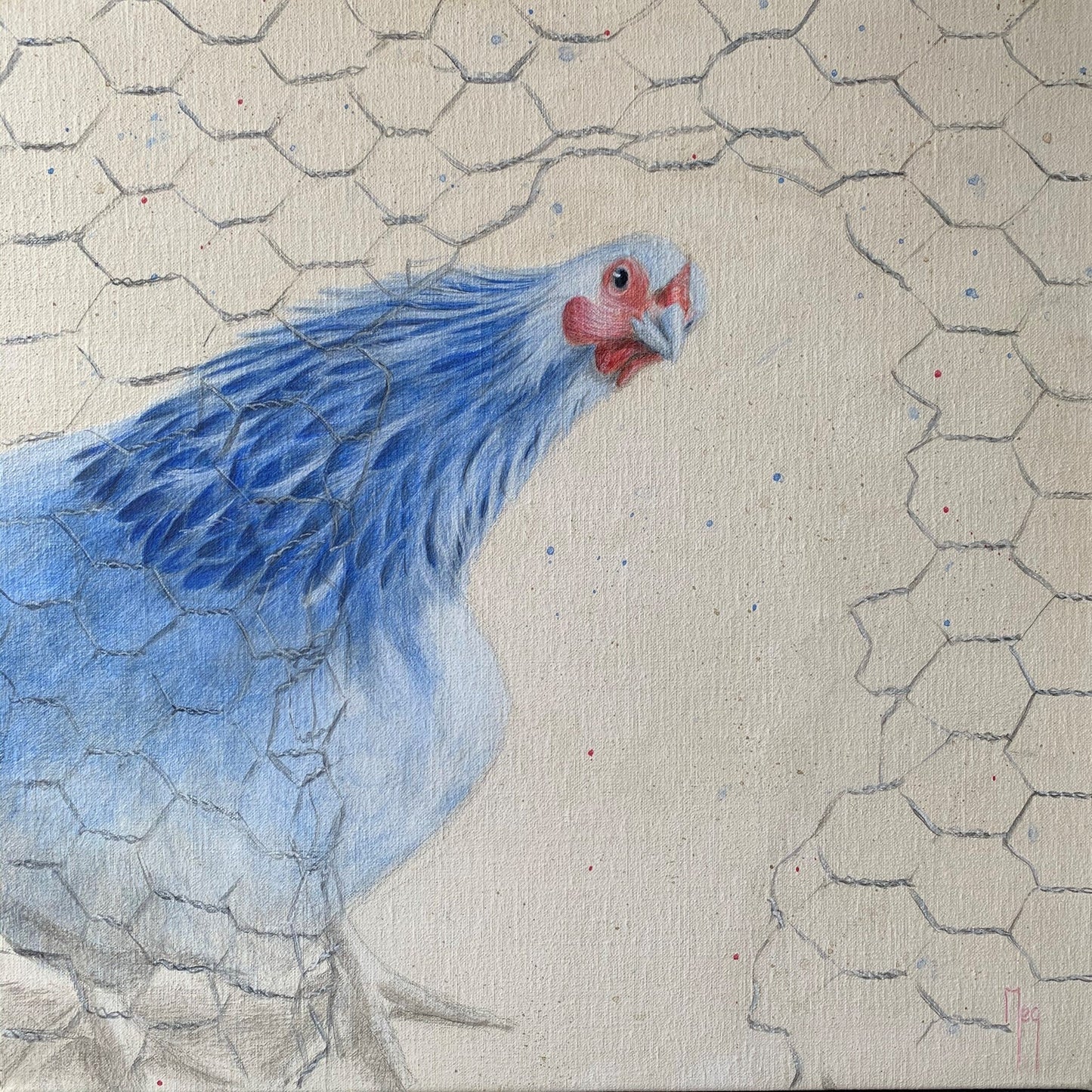 Hi, Kip (40 x 40cm) - ArtFusion.nl