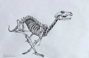 Pentekening 1 (42 x 53cm ingelijst) - tekening / drawing - ArtFusion.nl