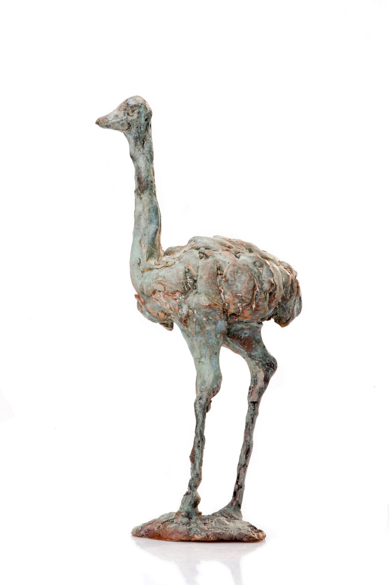 Struisvogel - ArtFusion.nl