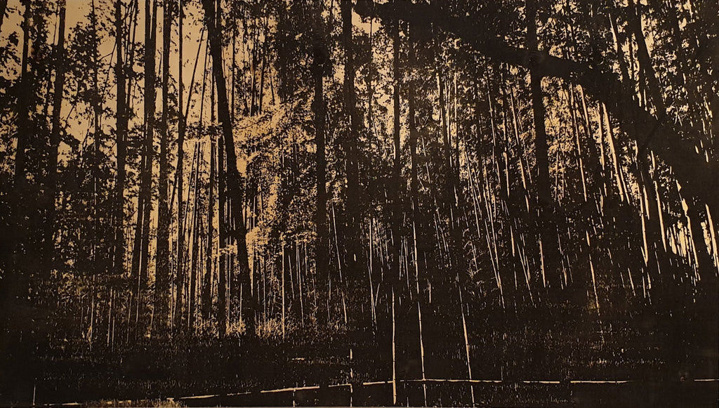 The Bamboo forest (58 x 102cm) - ArtFusion.nl