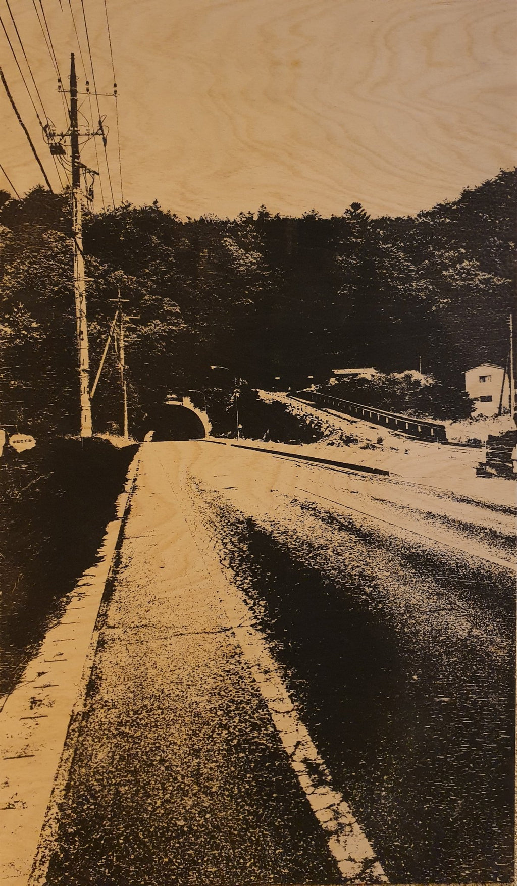 The road near Mount Fuji (101 x 56cm) - ArtFusion.nl